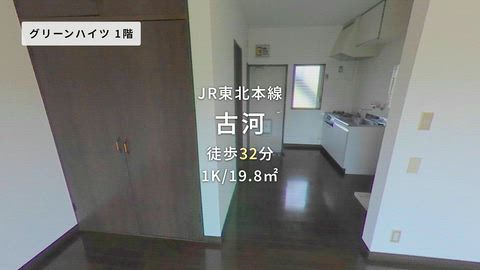 動画