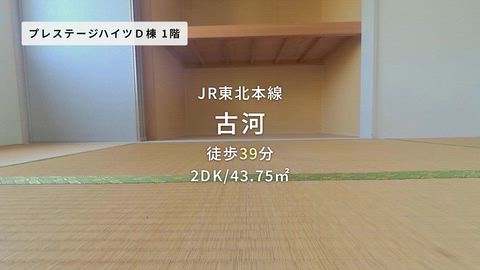 紹介ムービー