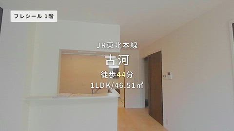 動画
