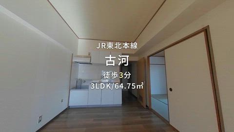 紹介ムービー