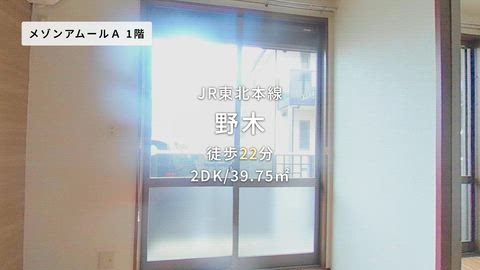 動画
