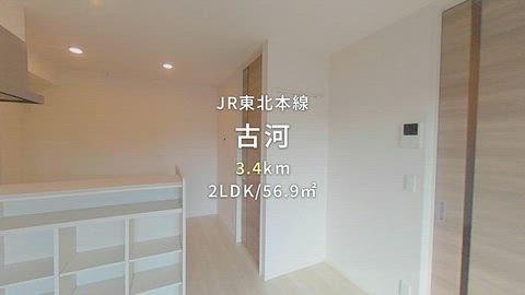 動画