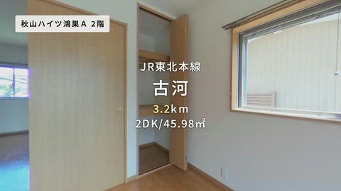 動画