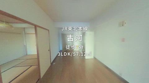 動画