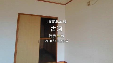 動画