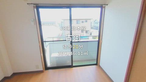 動画