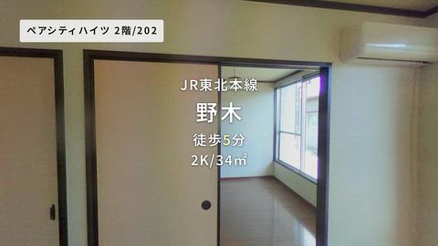 動画