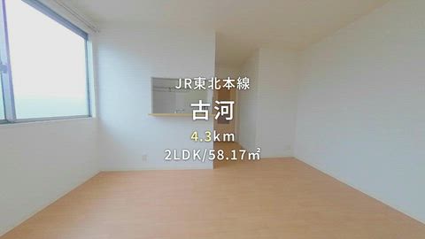 動画