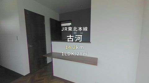 動画