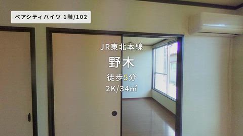 動画