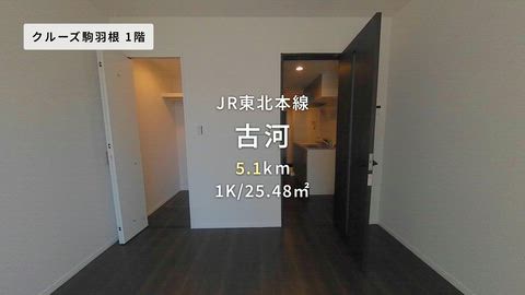 動画