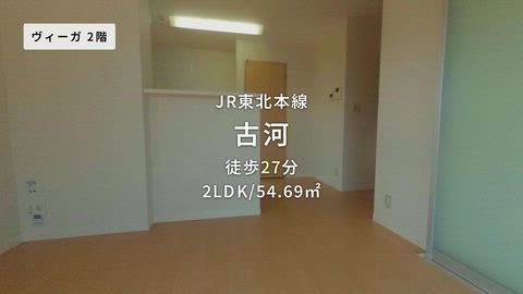 動画