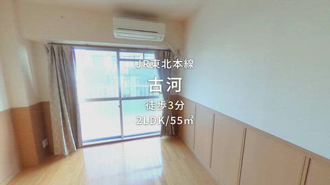 動画