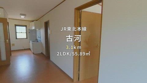 動画