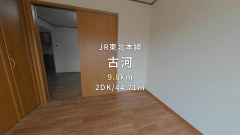紹介ムービー
