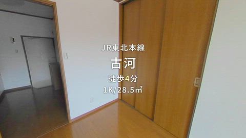 動画