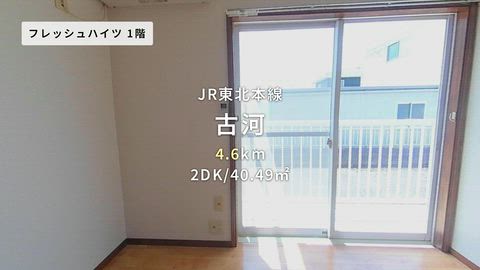 動画