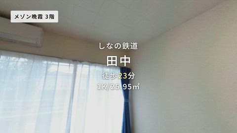 動画