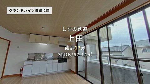 動画