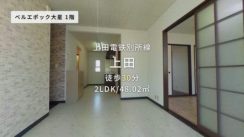 動画