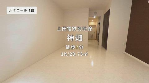 動画