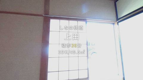 動画