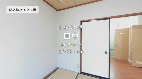 動画
