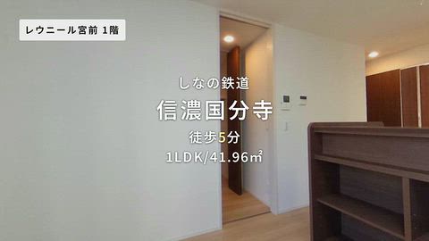 動画