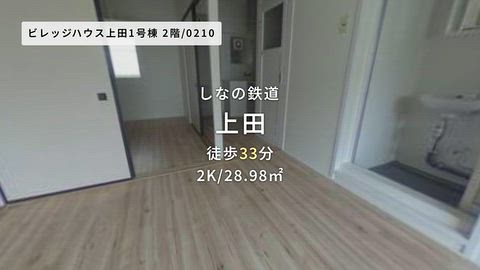 動画