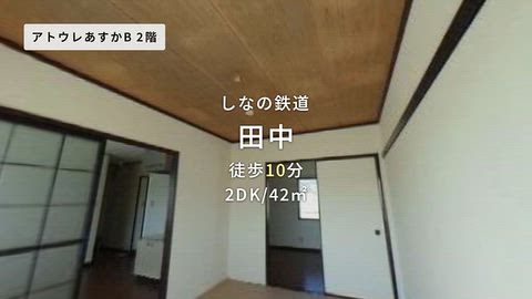 動画