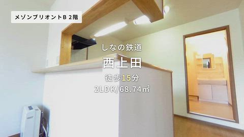 動画