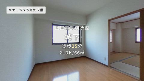 動画