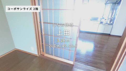 動画
