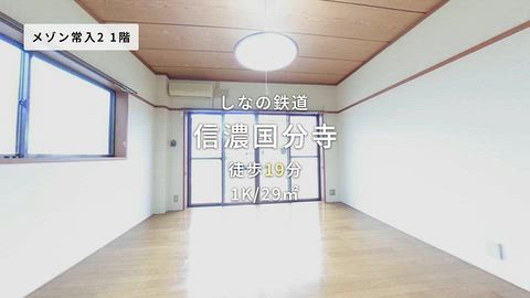 動画