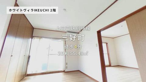 動画