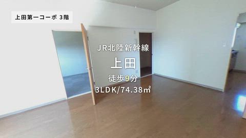 動画