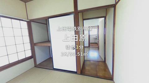 動画