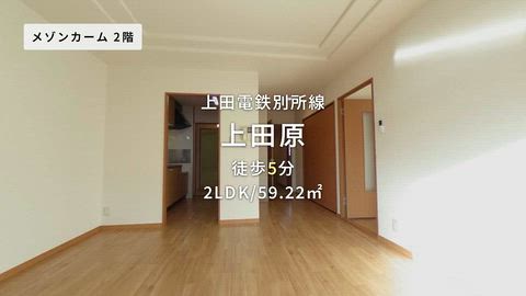 動画