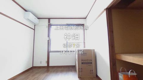 動画