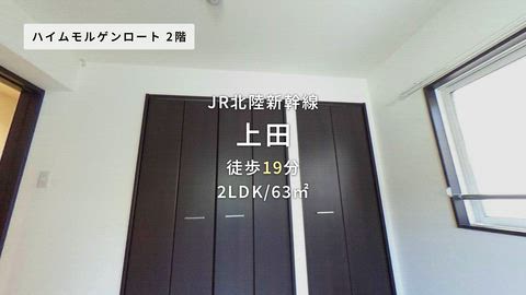 動画