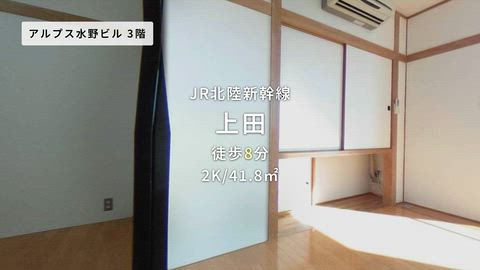 動画