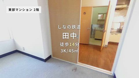 動画