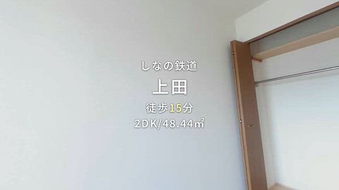 動画