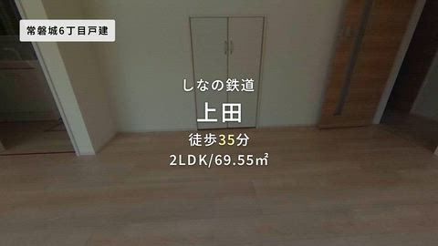 動画