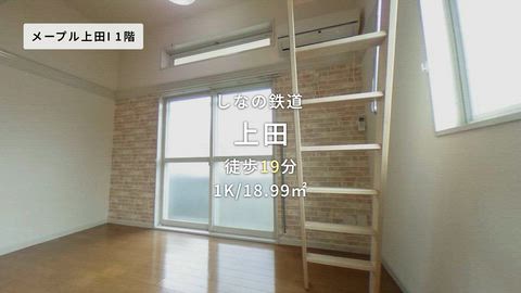 動画