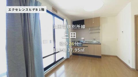 動画