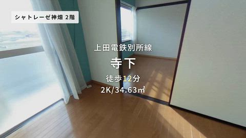 動画