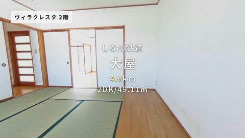 動画