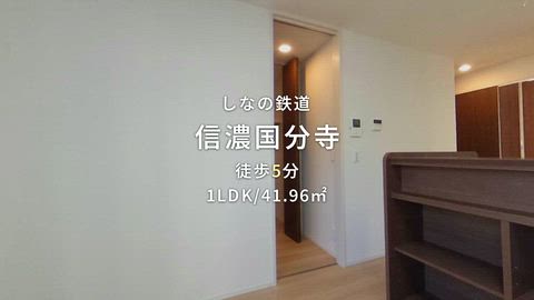動画