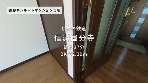 動画